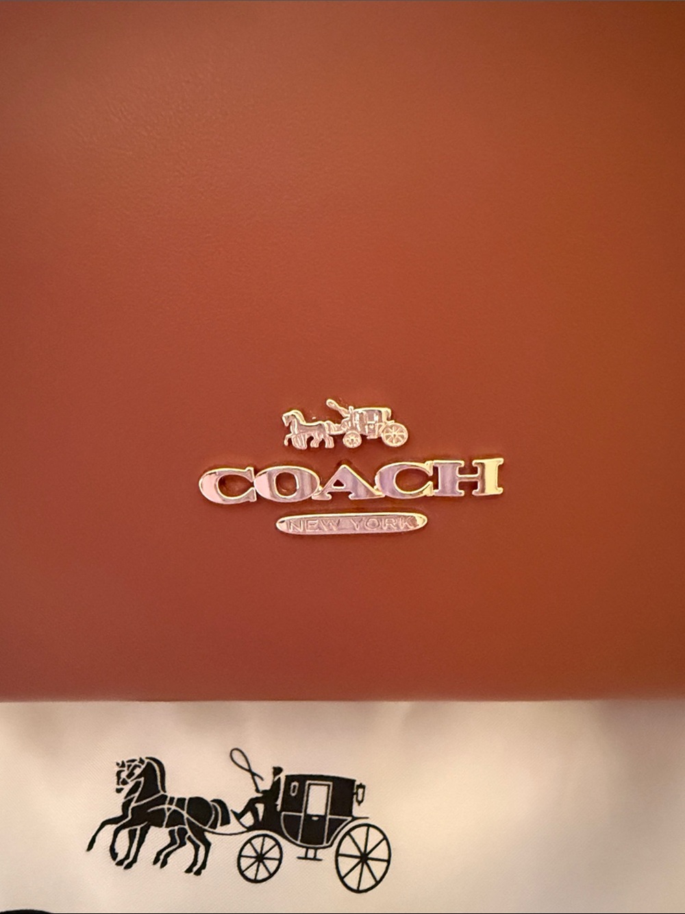🤎Coach NEW Honey Brown Leather Hadley TurnLock Mini Crossbody with Gold Hardware - Picture 5 of 8